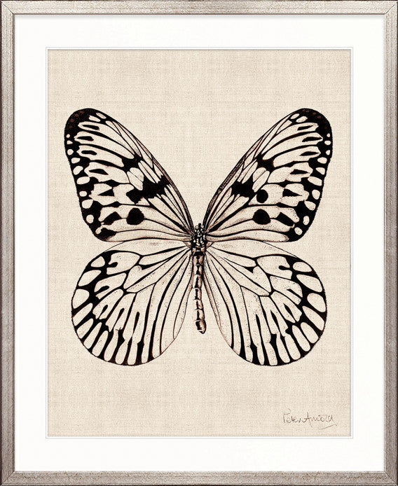 Fanciful Butterfly X