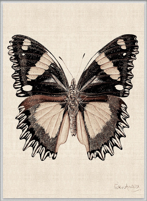 Fanciful Butterfly XI (Canvas)