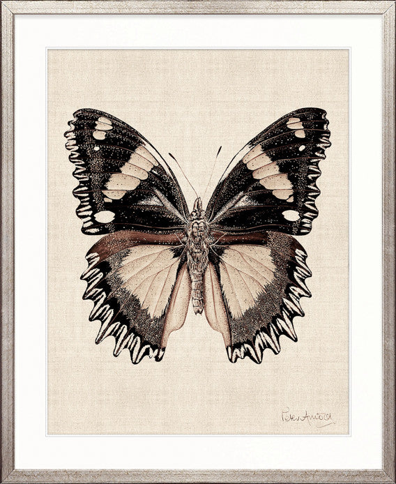 Fanciful Butterfly XI