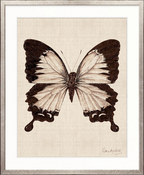 Fanciful Butterfly XII