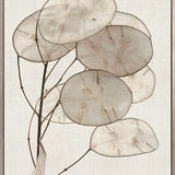Kivu Seedpods I (Canvas)