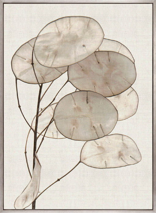 Kivu Seedpods I (Canvas)
