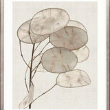 Kivu Seedpods I