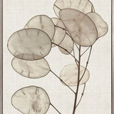 Kivu Seedpods II (Canvas)