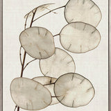 Kivu Seedpods III (Canvas)