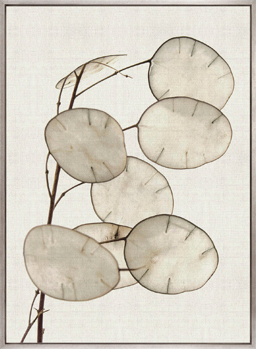 Kivu Seedpods III (Canvas)