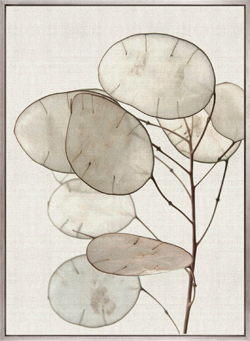 Kivu Seedpods IV (Canvas)