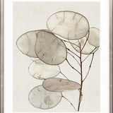 Kivu Seedpods IV
