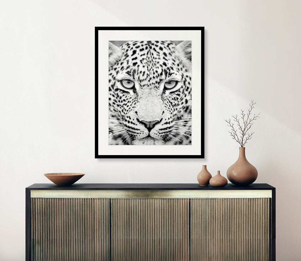 Kruger Wildlife Collection