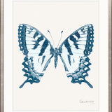 Fanciful Butterfly II