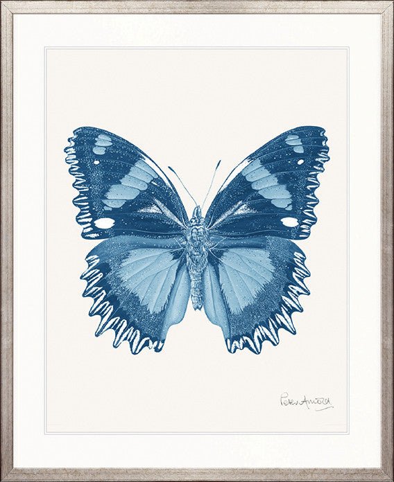 Fanciful Butterfly III