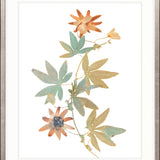 La Botanica I X-Large (1000mm W x 1400mm H) / Clear Acrylic