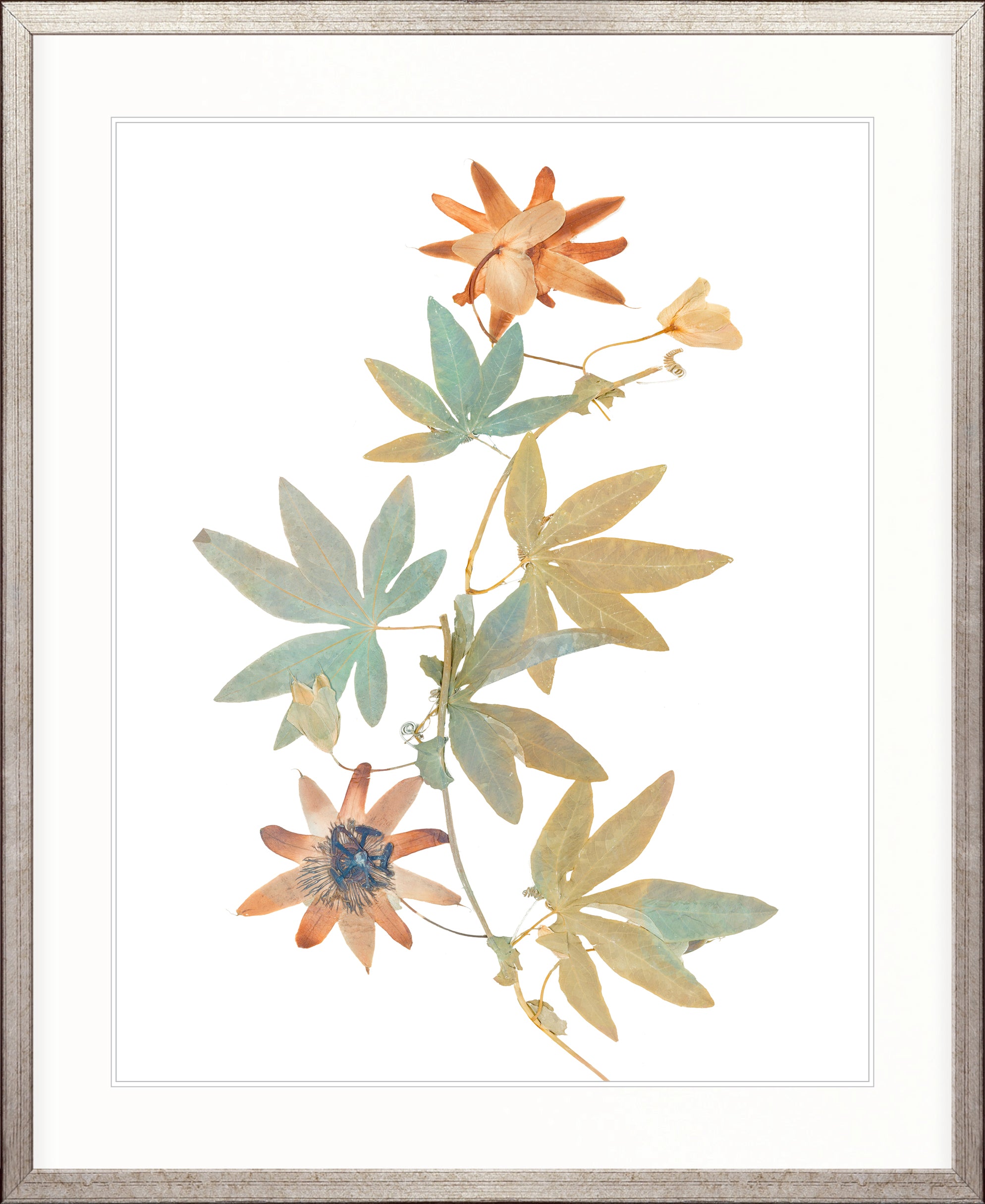 La Botanica I X-Large (1000mm W x 1400mm H) / Clear Acrylic