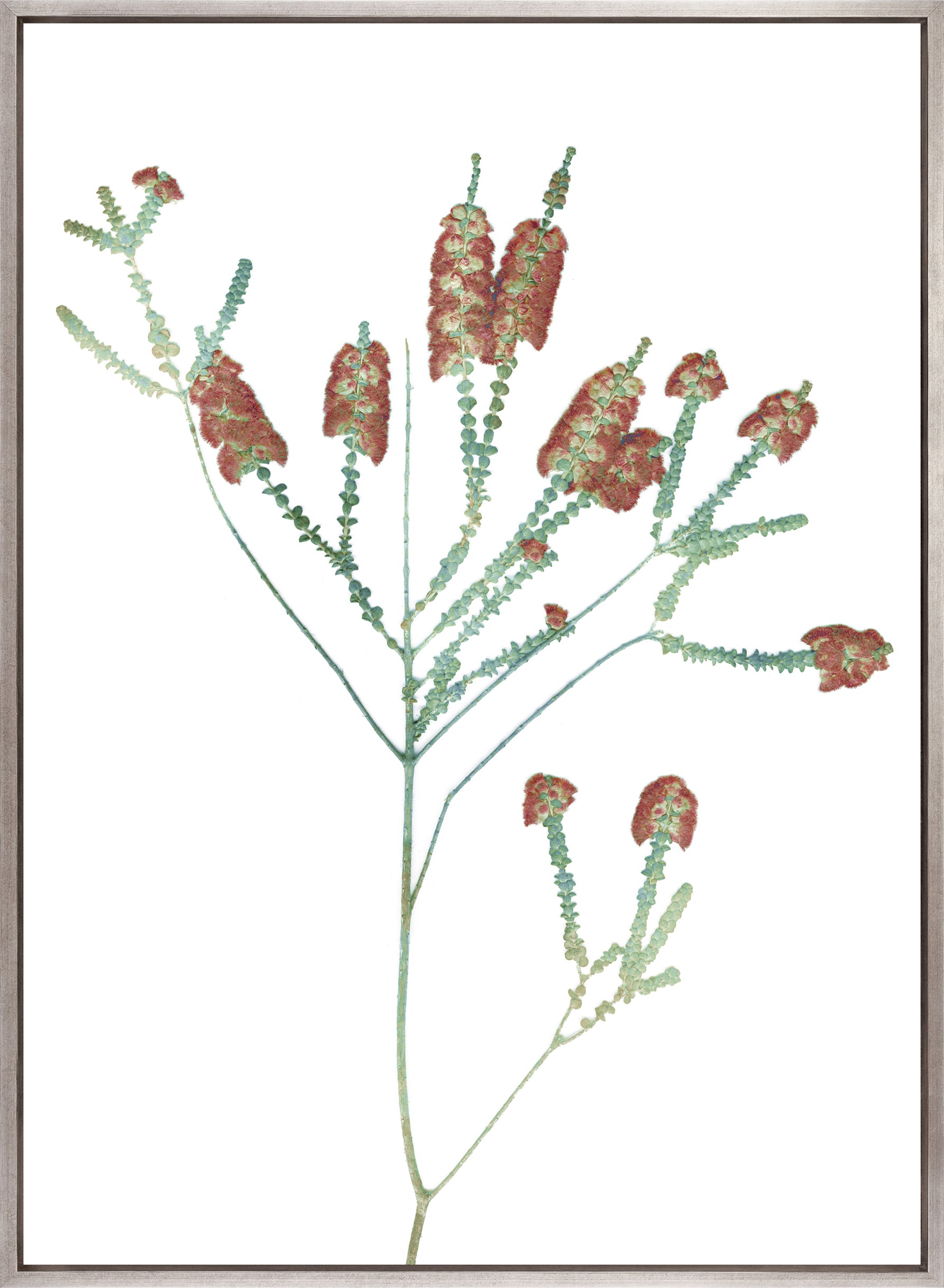 La Botanica II (Canvas)