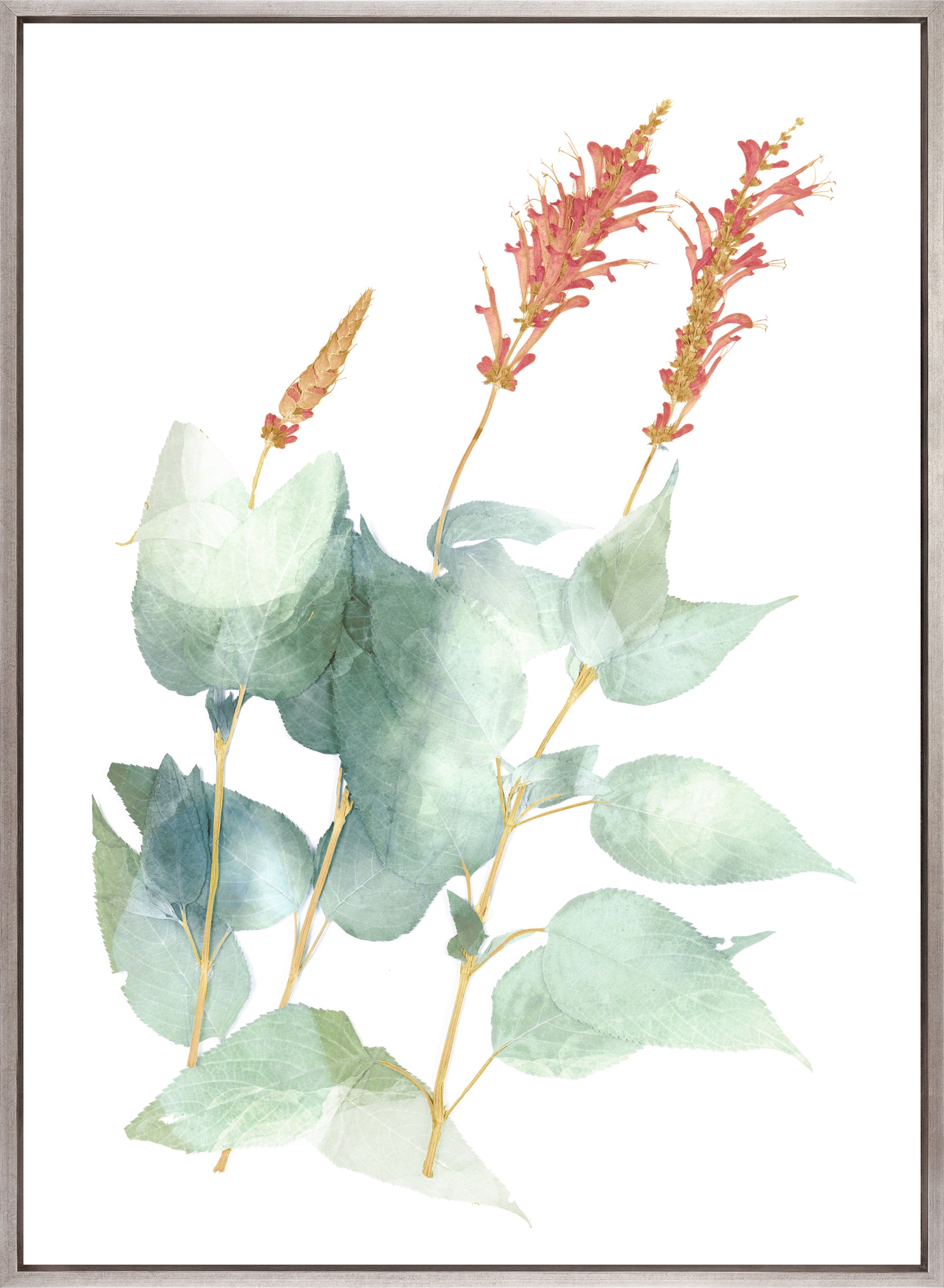 La Botanica III (Canvas)