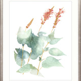 La Botanica III X-Large (1000mm W x 1400mm H) / Clear Acrylic