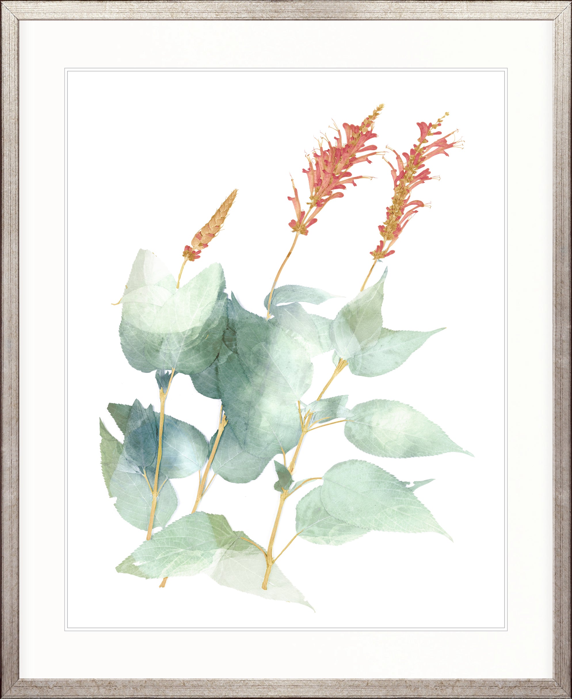 La Botanica III X-Large (1000mm W x 1400mm H) / Clear Acrylic