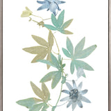 La Botanica IV (Canvas) Large (903mm W x 1109mm H)