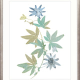La Botanica IV X-Large (1000mm W x 1400mm H) / Clear Acrylic