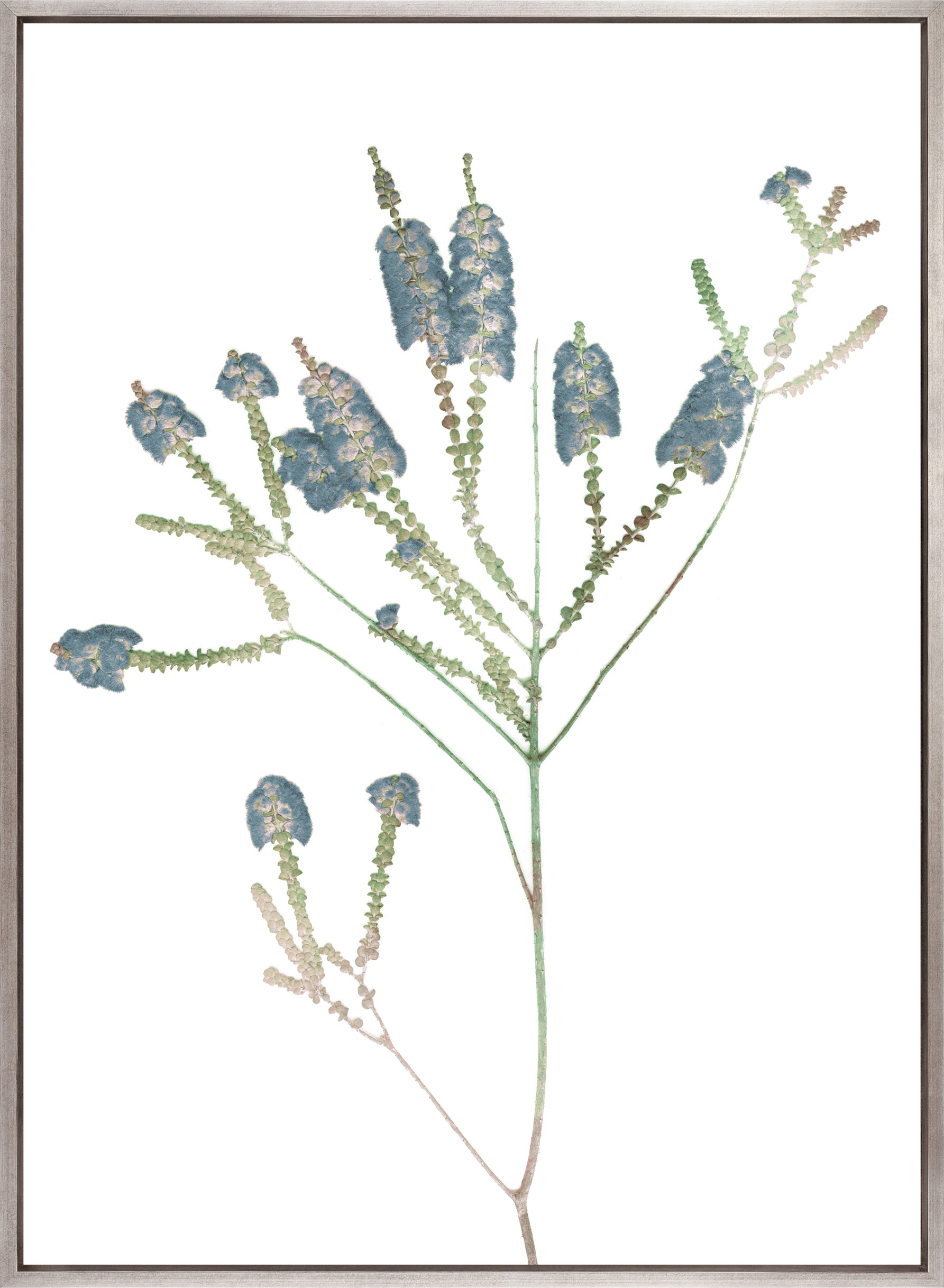 La Botanica V (Canvas)