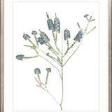 La Botanica V X-Large (1000mm W x 1400mm H) / Clear Acrylic