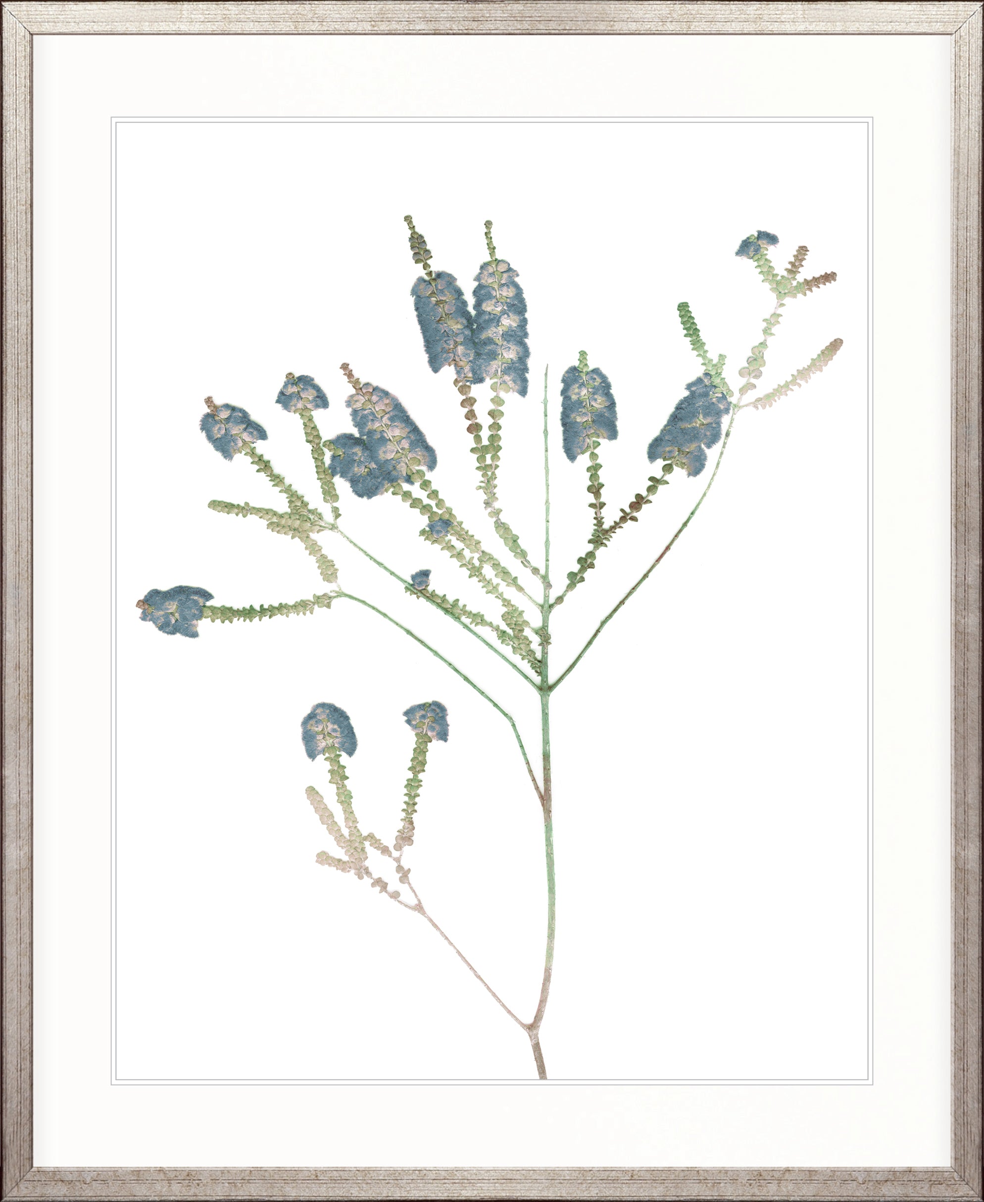 La Botanica V X-Large (1000mm W x 1400mm H) / Clear Acrylic
