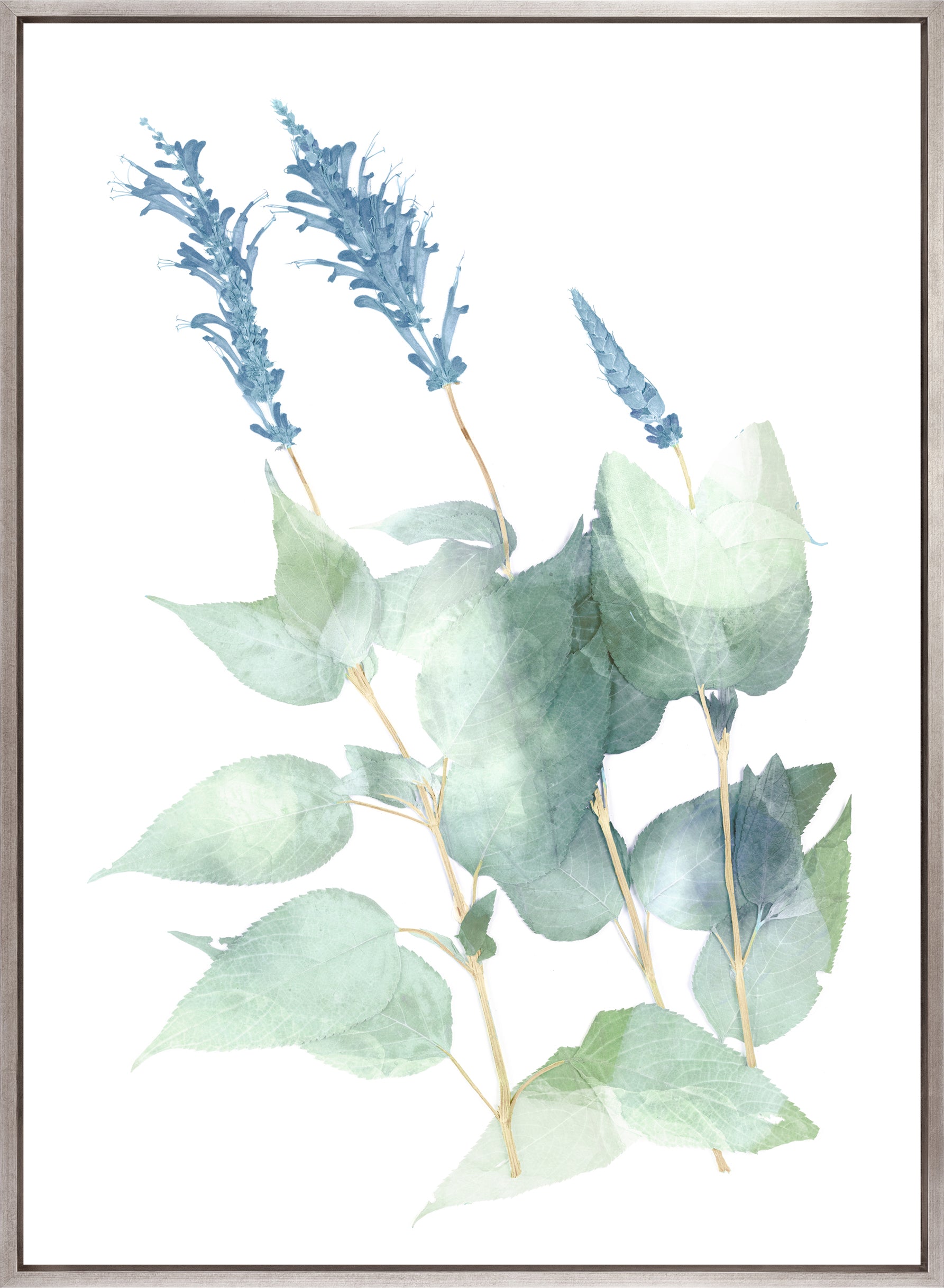 La Botanica VI (Canvas)