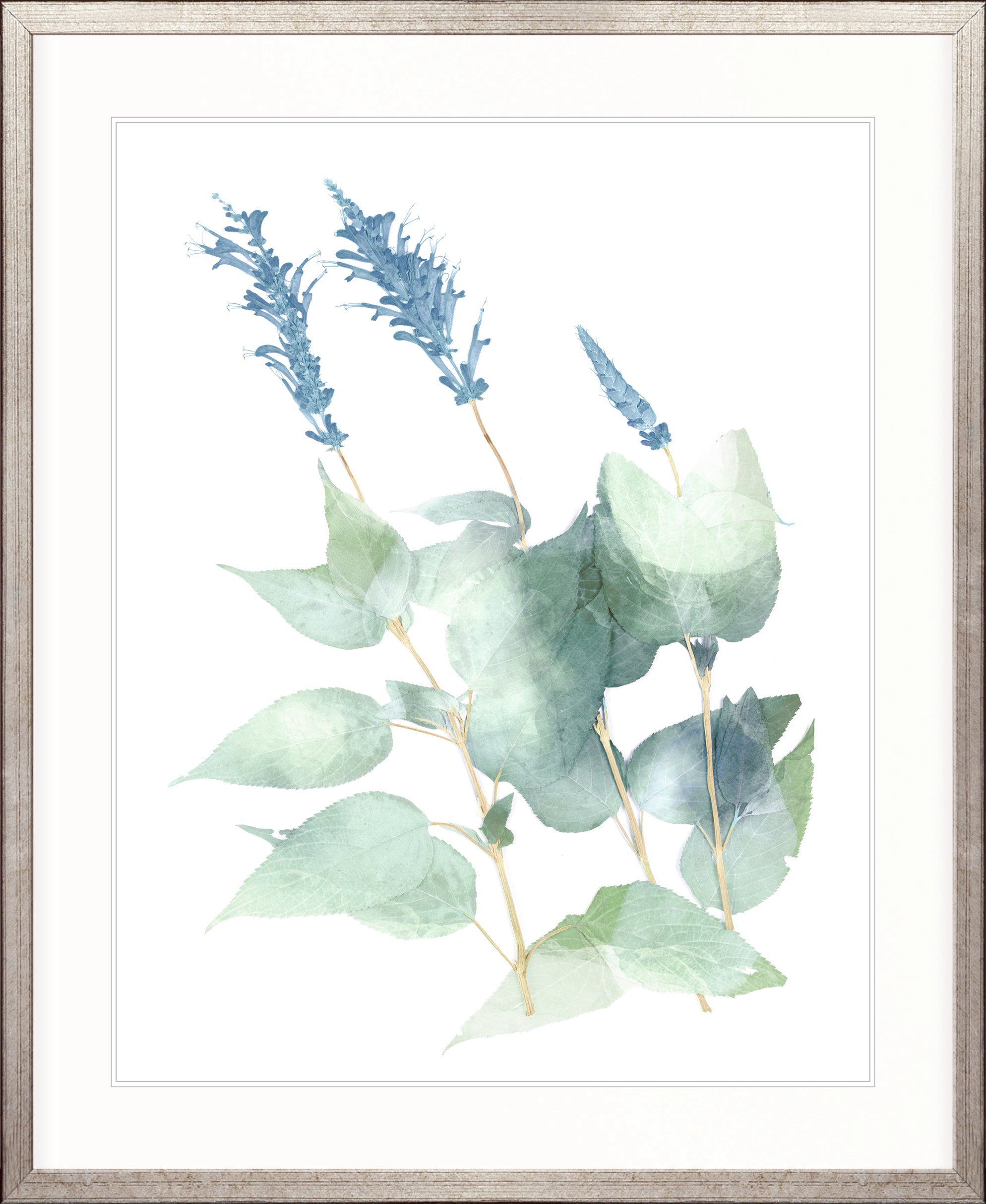 La Botanica VI X-Large (1000mm W x 1400mm H) / Clear Acrylic