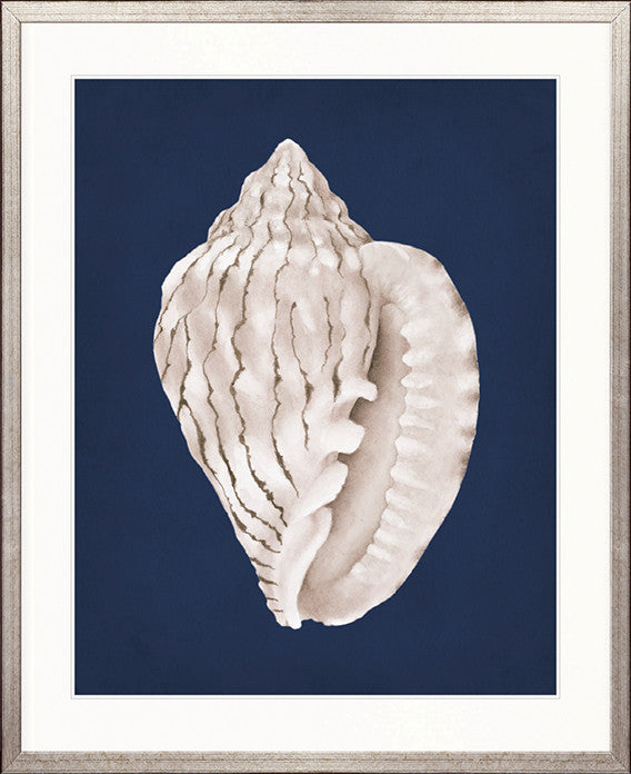 La Mesa Bay Shell I
