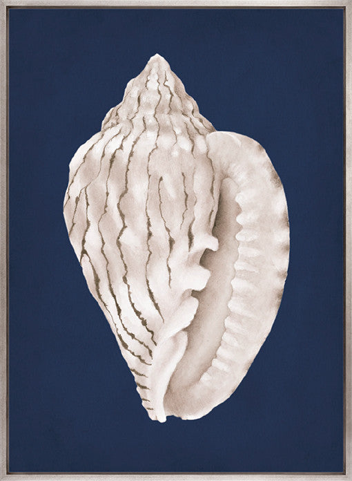 La Mesa Bay Shell I (Canvas)