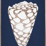 La Mesa Bay Shell II (Canvas)
