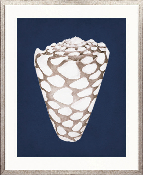 La Mesa Bay Shell II