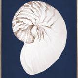 La Mesa Bay Shell III (Canvas)