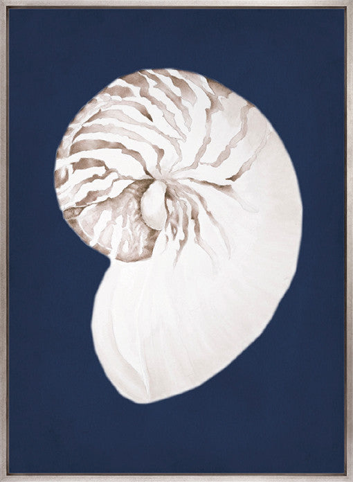 La Mesa Bay Shell III (Canvas)