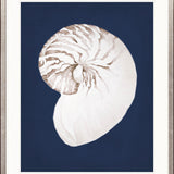 La Mesa Bay Shell III