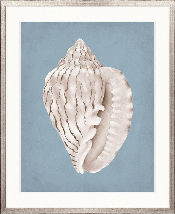 La Mesa Bay Shell IV