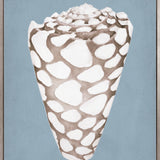La Mesa Bay Shell V (Canvas)