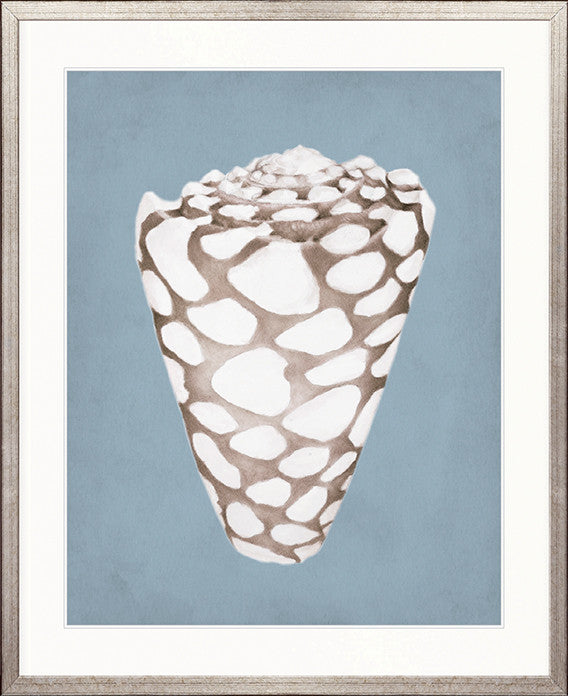La Mesa Bay Shell V