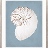 La Mesa Bay Shell VI