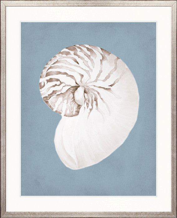 La Mesa Bay Shell VI