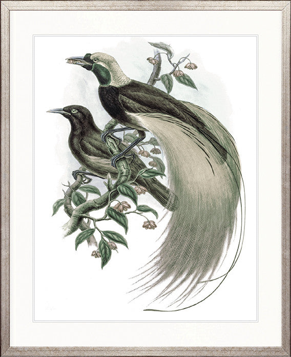 La Romieu Bird I