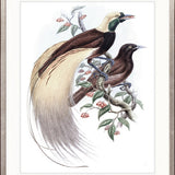 La Romieu Bird II