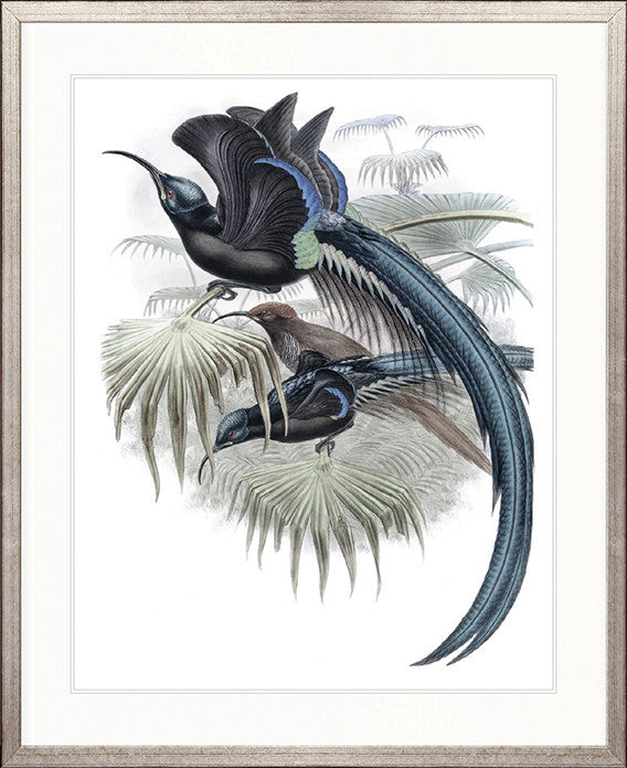 La Romieu Bird III