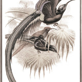 La Romieu Bird IV (Canvas)
