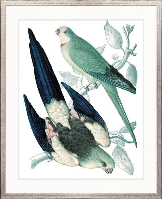 La Romieu Bird V