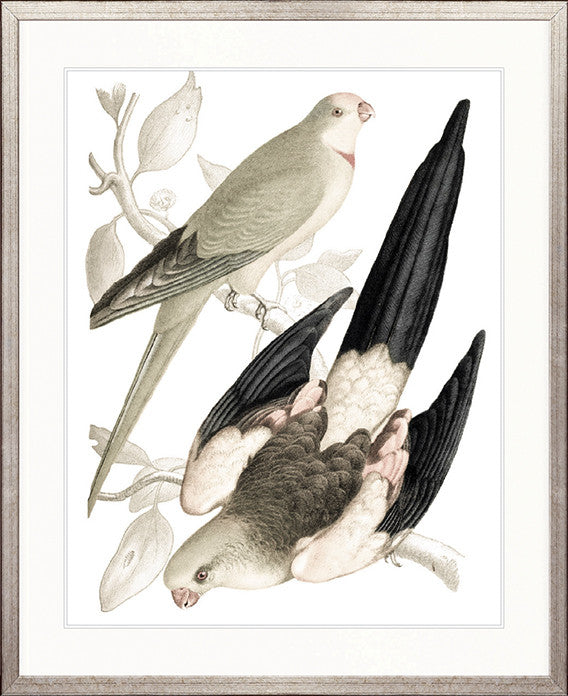 La Romieu Bird VI