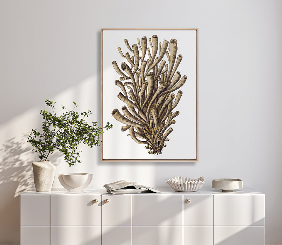 Exotic Coral I (Canvas)