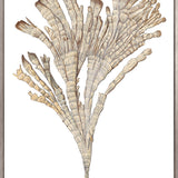 Exotic Coral II (Canvas) Large (903mm W x 1109mm H)