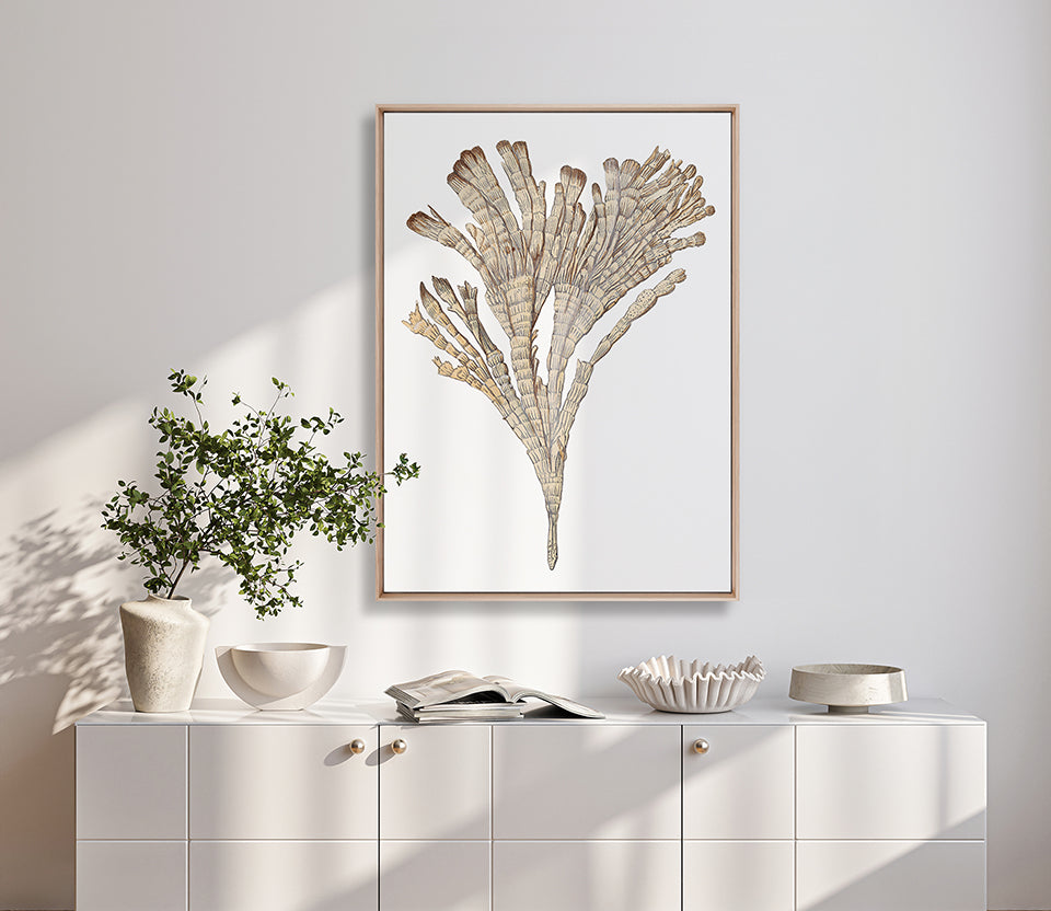 Exotic Coral II (Canvas)