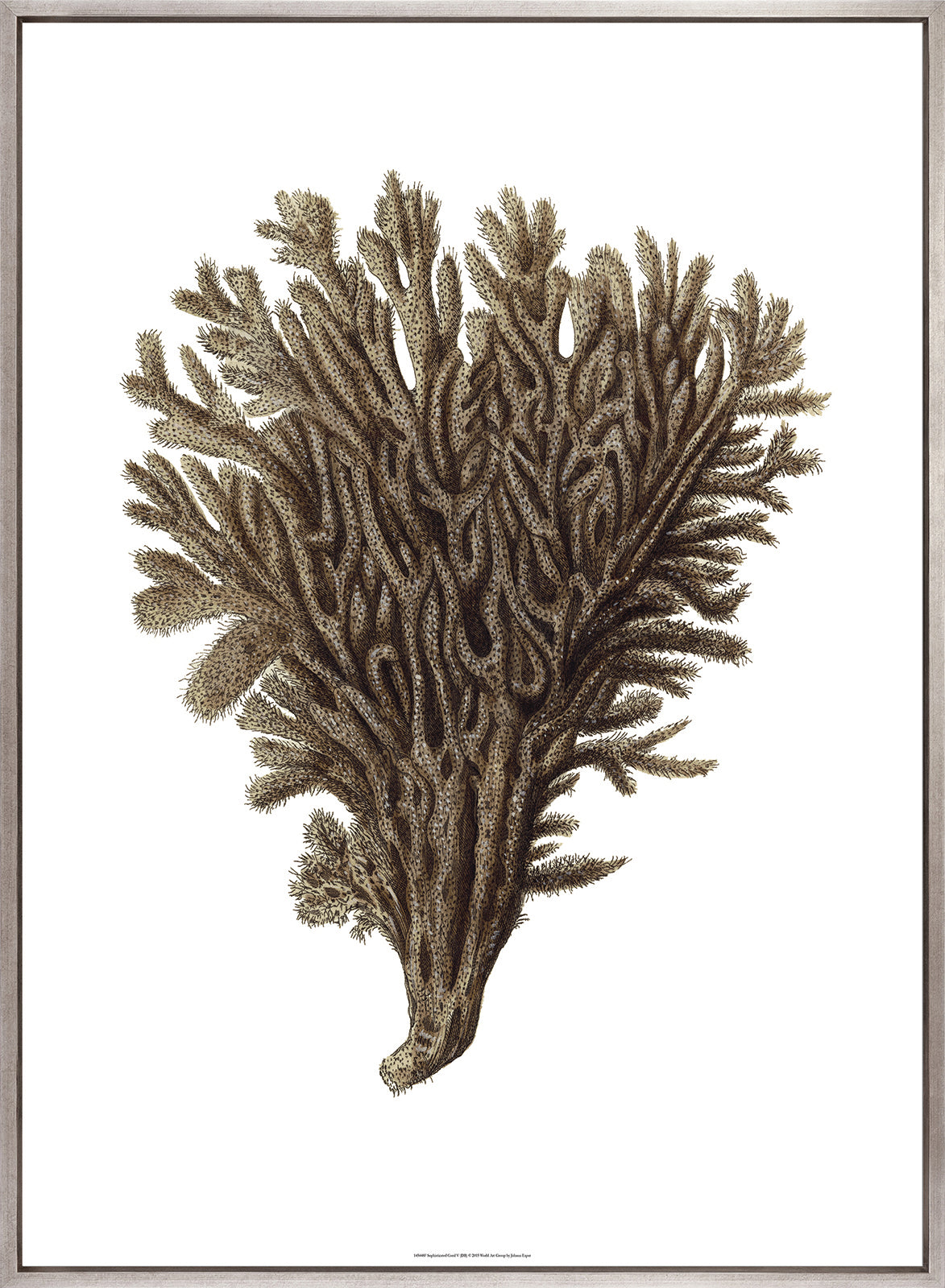 Exotic Coral III (Canvas)